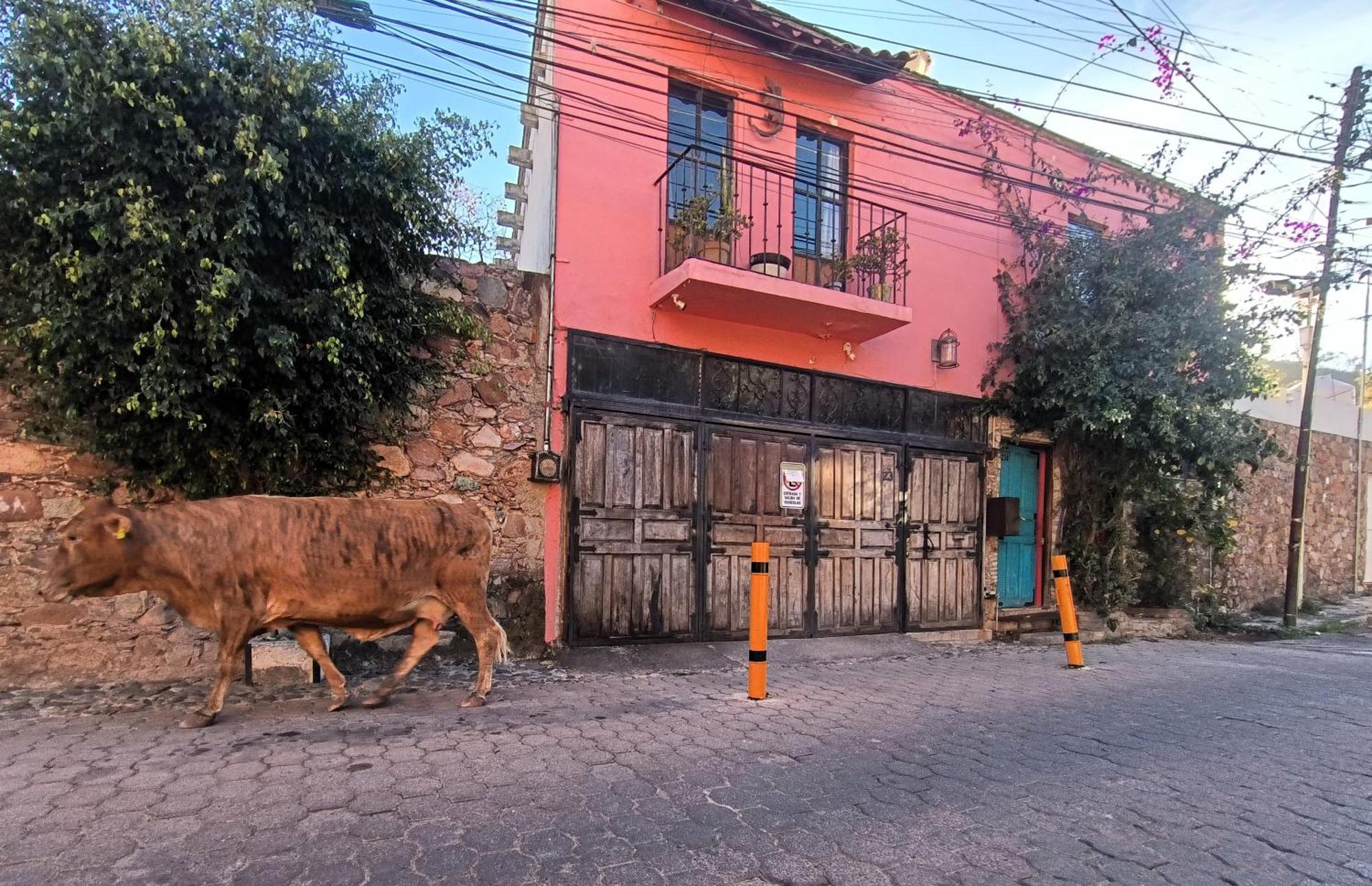 Aparthotel El Refugio De San Matias Guanajuato Exterior foto