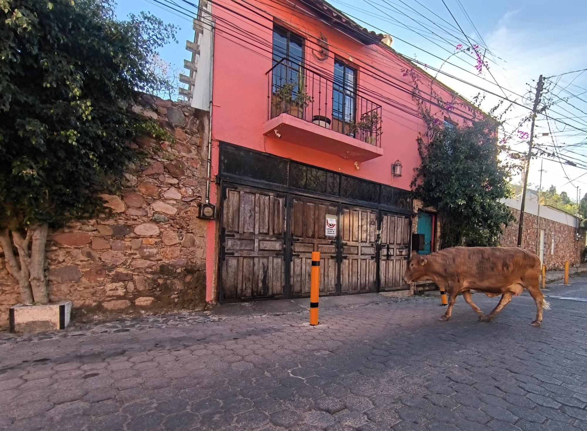 Aparthotel El Refugio De San Matias Guanajuato Exterior foto